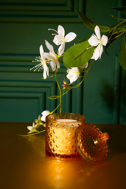 Pumkin yellow jar - Moonlit garden