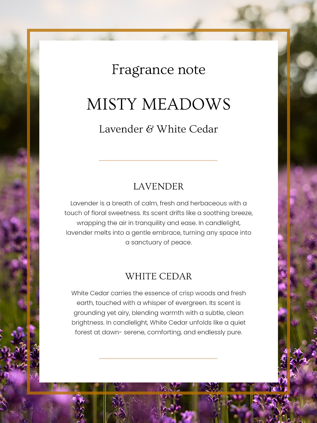 Bubble Ombre Wine Jar - Misty meadows